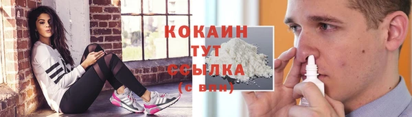 спиды Алексин